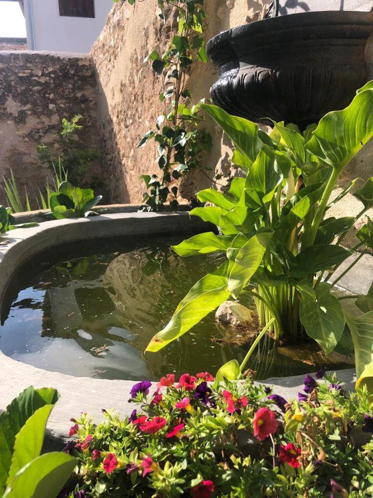 Ca Margalef - Casa Rural Con Encanto Ginestar Dış mekan fotoğraf